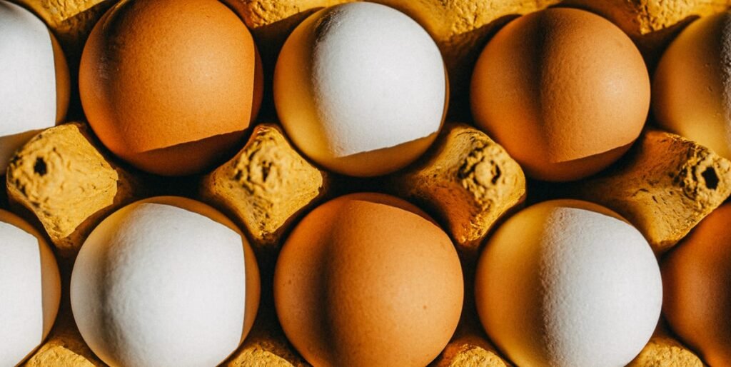 Uma variedade de alimentos ricos em proteínas, incluindo carnes, laticínios e opções vegetais.