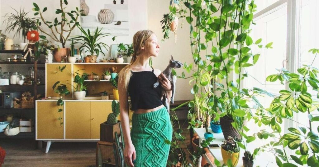 Cinco plantas que ajudam a combater o estresse em um ambiente de Urban Jungle