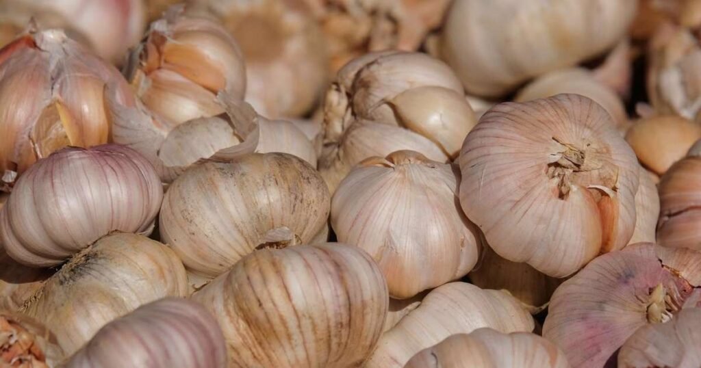 Diversos alimentos expostos com resíduos de agrotóxicos visíveis, incluindo tomate, pimentão e alface.