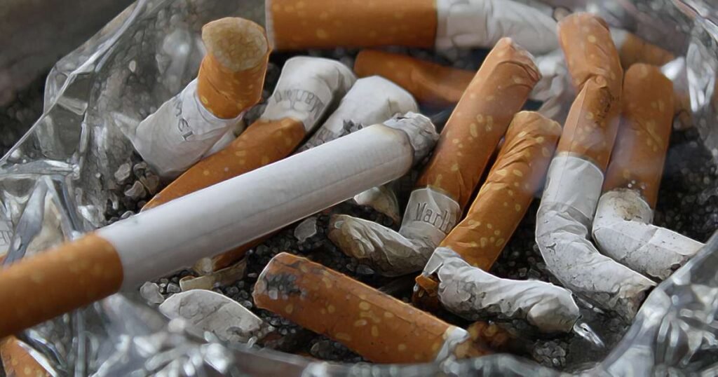 Imagem representativa do impacto do tabagismo, mostrando pulmões saudáveis e danificados por cigarros.