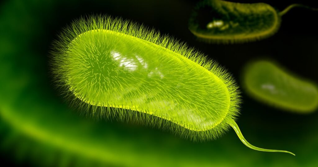 Ilustração de patógenos associados ao câncer, incluindo vírus e bactérias como Helicobacter pylori, HPV, Hepatite B e C e Epstein-Barr.